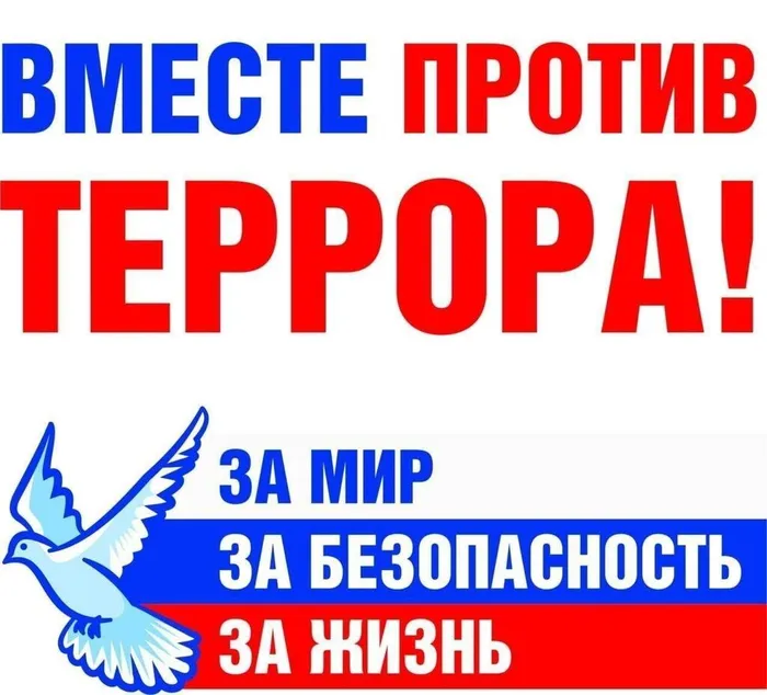 033bbf62b76b0da54f9be2b992309312