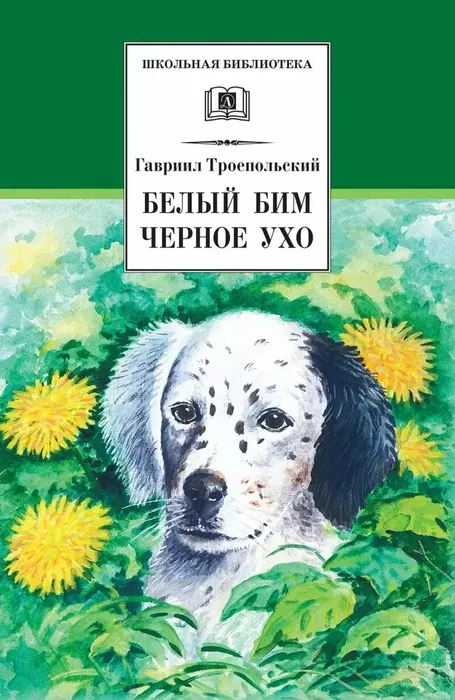 image (10)